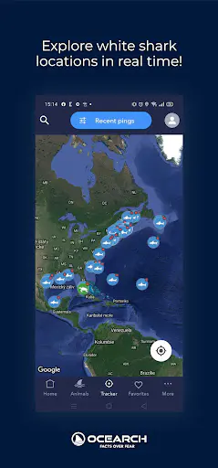 Screenshot 0