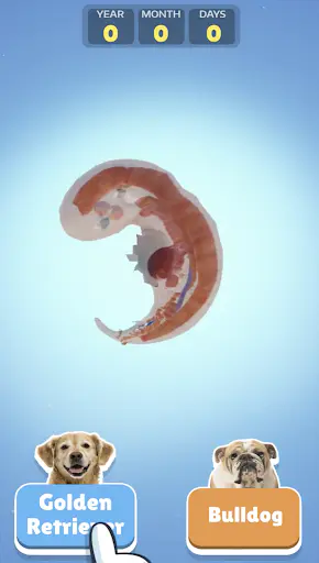 Screenshot 0