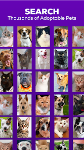 Petfinder - Adopt a Pet