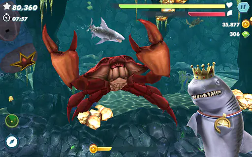 Screenshot 15